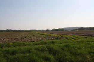 nördlich der Rehburger Berge, Blick Richtung Bergkirchen