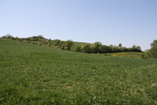 nördlich von Köterberg (Lügde) Blick nach Westen …