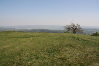 Blick vom Gipfel nach Osten Richtung Holzminden