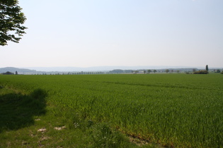 zwischen Northen und Everloh Blick zum Deister