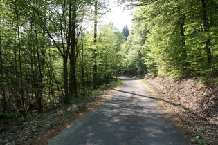 Bierweg, unterer Bereich