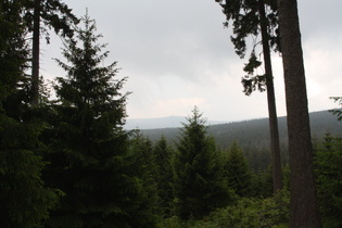 östlich unterhalb Torfhaus Blick auf den Brocken