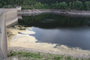 Rapspollen auf der Okertalsperre