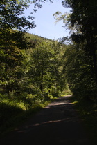 Einfahrt in den Harz südöstlich von Bad Harzburg