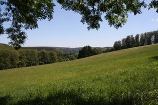 Blick nach Osten in einer steilen Rampe südlich des Molkenhauses