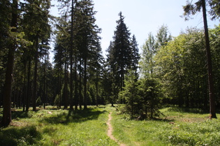 und das nennt sich "Kaiserweg"