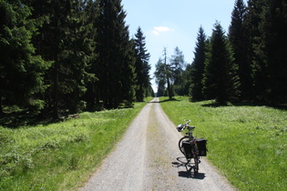 endlich keine Wurzeln mehr im Weg