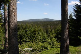 östlich unterhalb Torfhaus Blick auf den Brocken