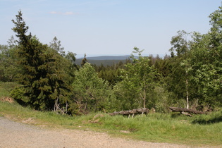 östlich unterhalb Torfhaus Blick nach Nordosten