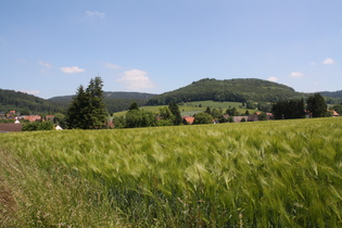 zwischen Holzen und Wickensen, Blick über Holzen auf den Hils