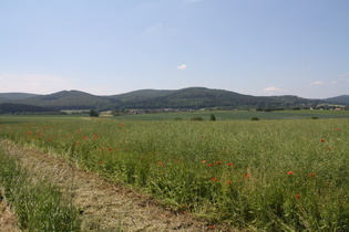 zwischen Holzen und Wickensen, Blick auf den Homburg