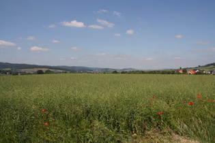 zwischen Holzen und Wickensen, Blick nach Nordwesten