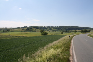 südlich von Lenne, Blick auf den Holzberg