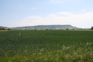 Zoom auf den Holzberg