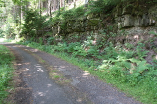 diese Buckelpiste war mal eine richtige Straße im Hasselbachtal