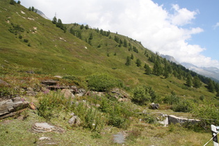 Waldgrenze und Baumgrenze am Berg