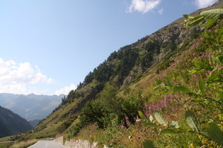 Nufenenpass, Westrampe, mittlerer Teil, Blick nach Westen