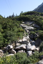 die teilweise verschüttete Aare, Blick flussaufwärt