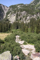 die Aare, Blick flussabwärts