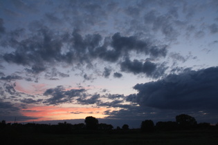 Leinemasch nördlich von H-Ahlem, Blick nach Nordosten