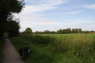 Leinemasch nördlich von H-Ahlem, Blick nach Norden