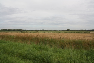 zwischen Frielingen und Otternhagen, Blick nach Nordosten