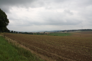 zwischen Bisperode und Harderode, Blick nach Süden