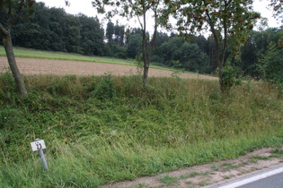 namenloser Pass im Zuge der K10 zwischen Heyen und Bodenwerder, Blick nach Nordwesten