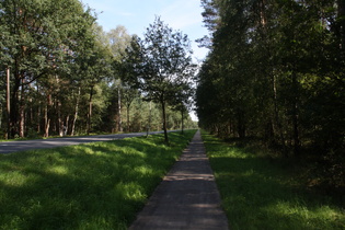 lange Gerade zwischen Meißendorf und Winsen (Aller)