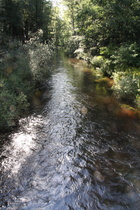 die Obere Drebber zwischen Meißendorf und Winsen (Aller), Blick nach Westen