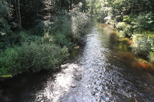 die Obere Drebber zwischen Meißendorf und Winsen (Aller), Blick nach Osten