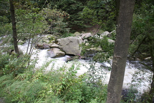 die Oker zwischen Oker und Romkerhalle