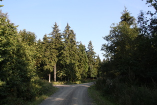 Kammweg, Hohe Warte