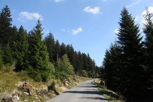 auf 800 m ü.NHN kreuzt die Brockenbahn die Brockenstraße