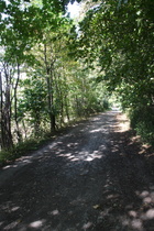 Reste einer alten Straße am Gehrdener Berg …