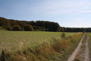 … gehen in einen Feldweg über