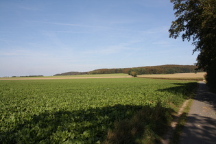 Blick zurück zum Gehrdener Berg