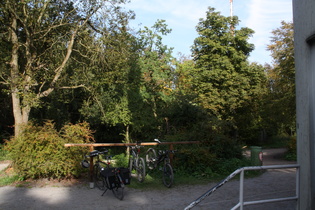 Dach der Tour: Annaturm auf der Bröhn