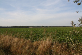 zurück im Flachland, Blick auf das Große Holz