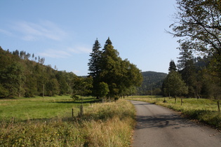 stinkeverkehrfreie Straße im Siebertal