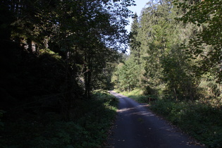 Engstelle im Siebertal