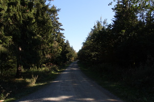 Hohe Warte, Blick nach Südosten entlang des Kammweges