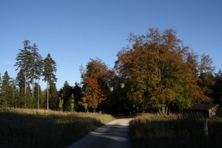 Blick vom Kammweg Richtung Laube