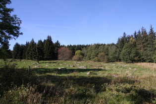 westlich von Schierke auf etwa 600 m ü.NHN