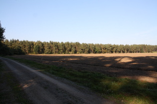 Sandpiste zwischen Schloss Ricklingen und Bordenau