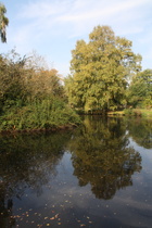 Mittlerer Teich in Holzminden