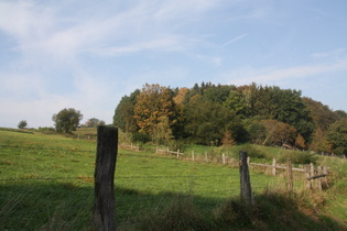 Rumohrtal, unterer Bereich, Blick nach Norden