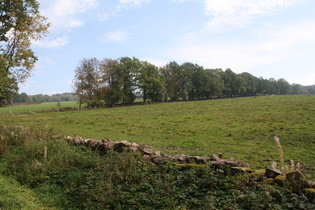 mit Steinmauern begrenzte Weiden zwischen Neuhaus und Silberborn