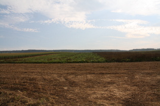 zwischen Relliehausen und Hilwartshausen, Blick nach Süden