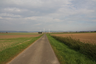 östlich von Wellersen, Blick nach Osten